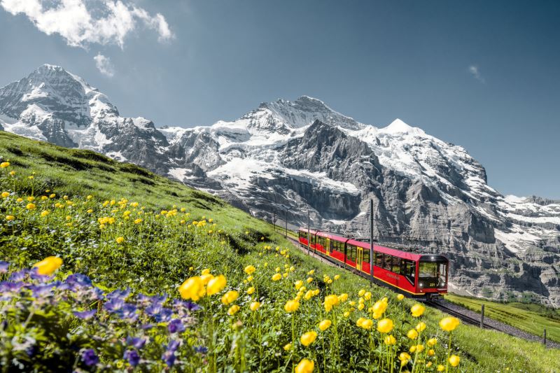 “Ferrocarriles-Jungfrau"